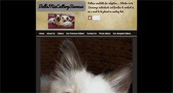 Desktop Screenshot of bellamiacatterysiamese.com